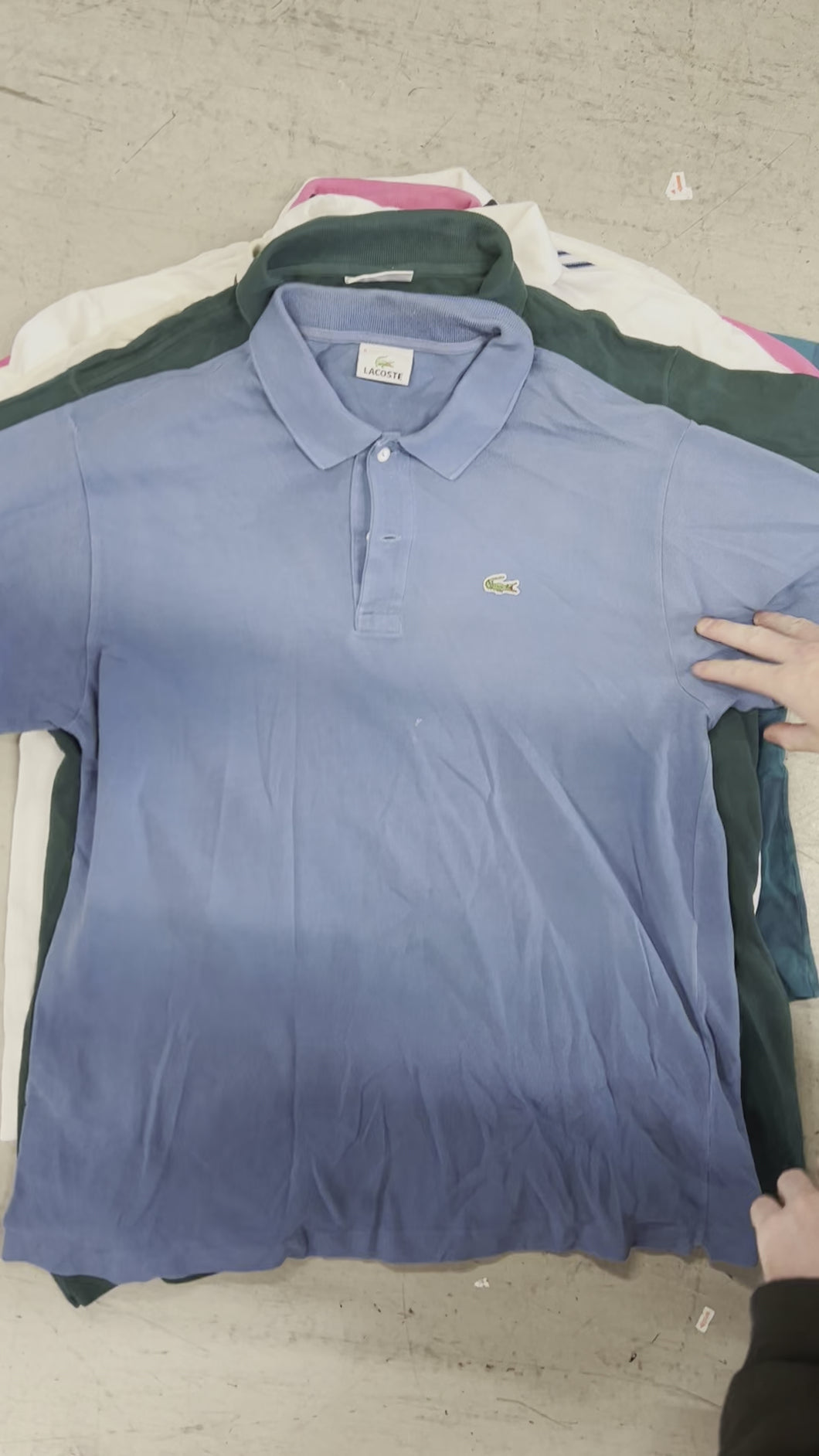 13pc Mens Designer Polo Shirt